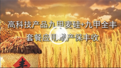 山西谷子回访
